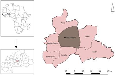 Determinants of animal disease and nontherapeutic antibiotic use on smallholder livestock farms